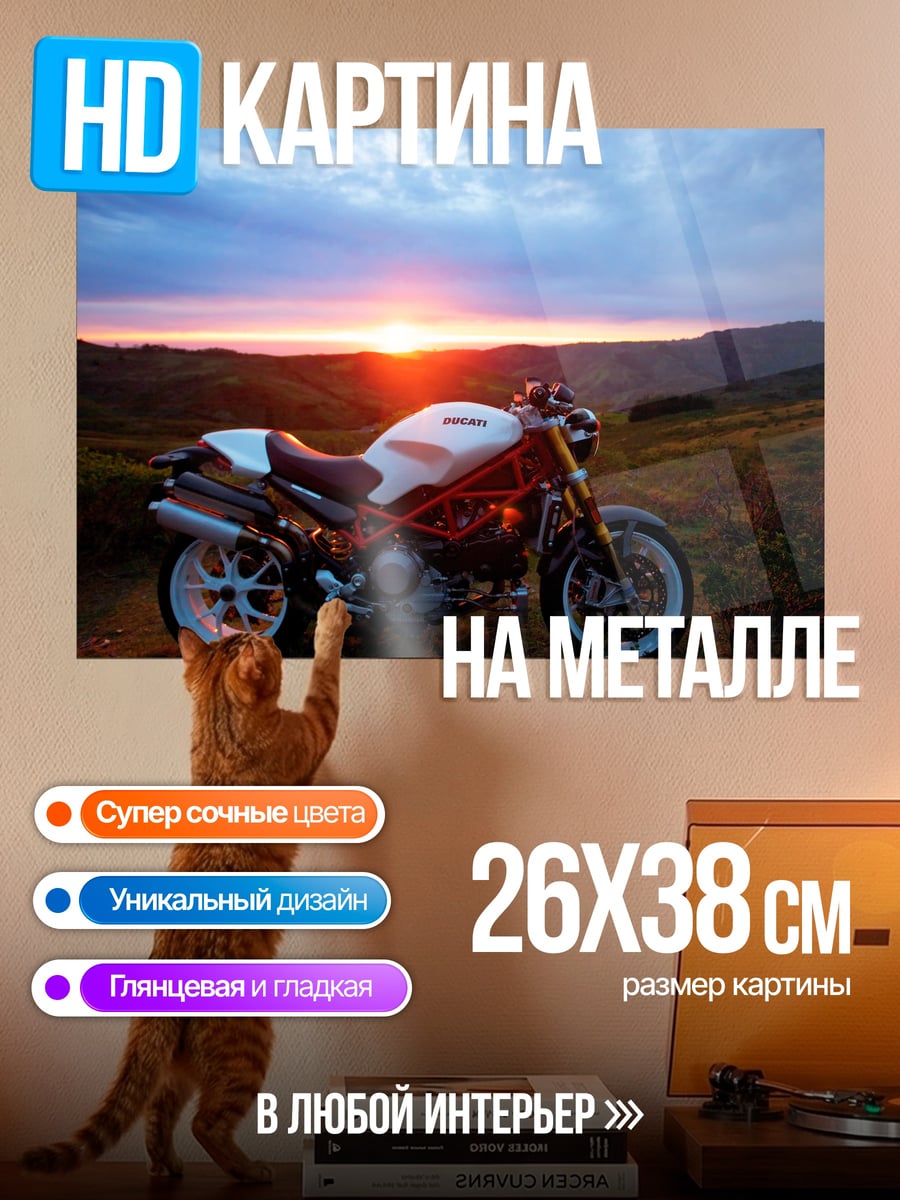 Картина на металле мотоцикл на закате