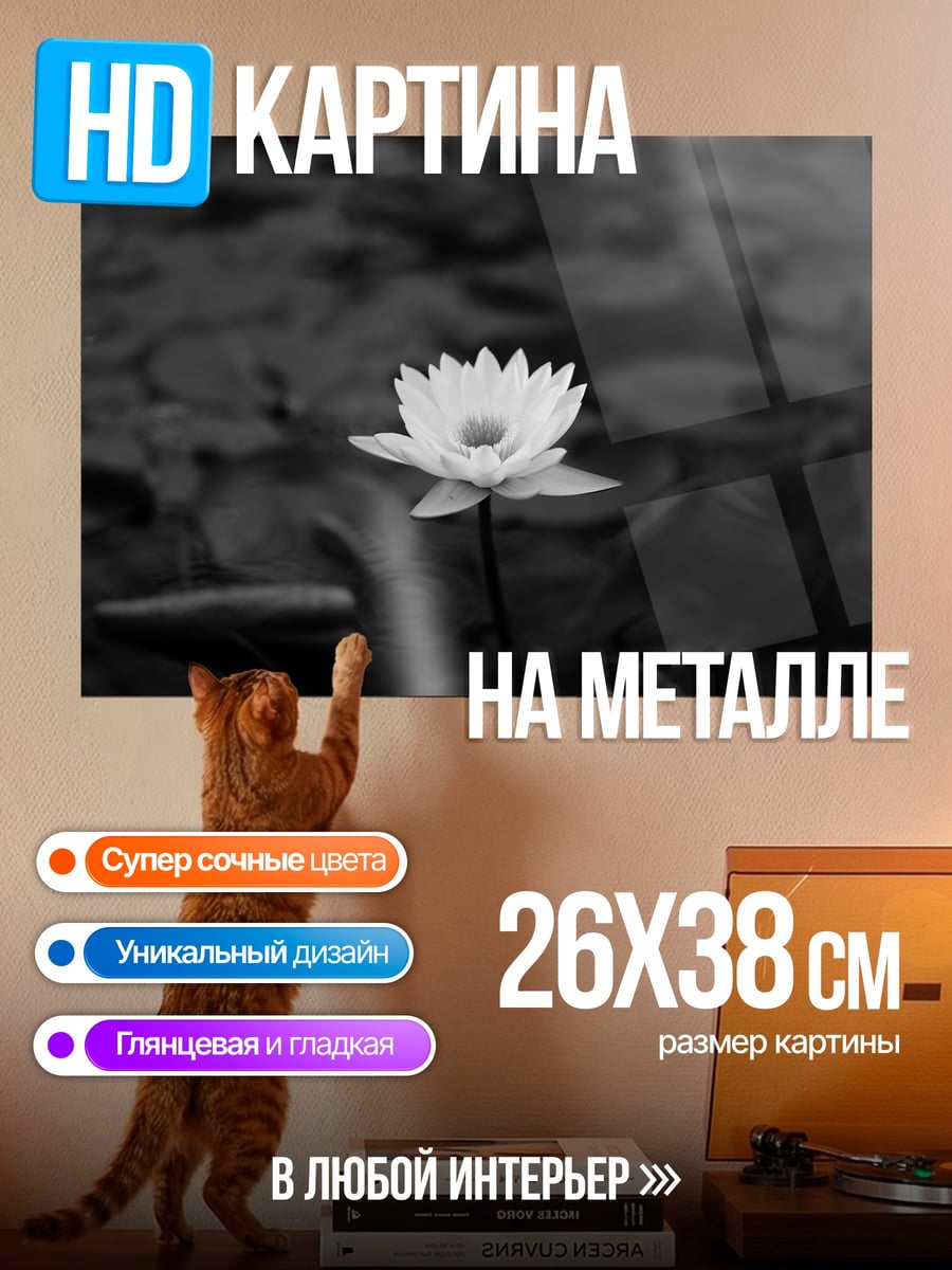 Картина на металле Белая лилия в пруду