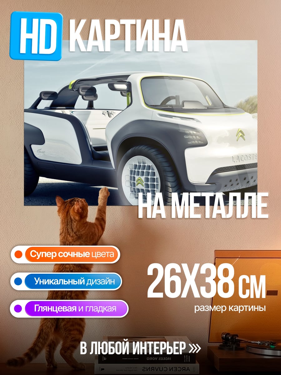 Картина на металле Концепткар Citroen
