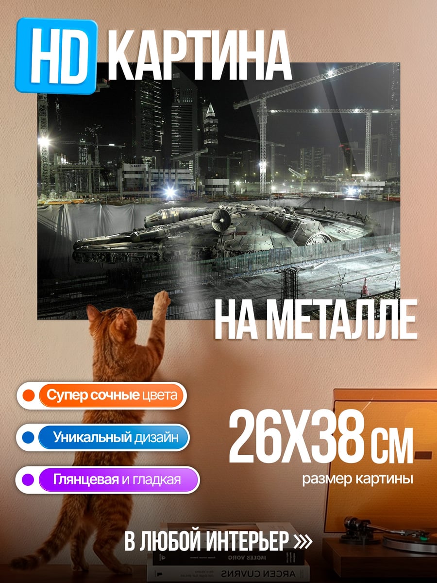 Картина на металле Сокол Тысячелетия стройка