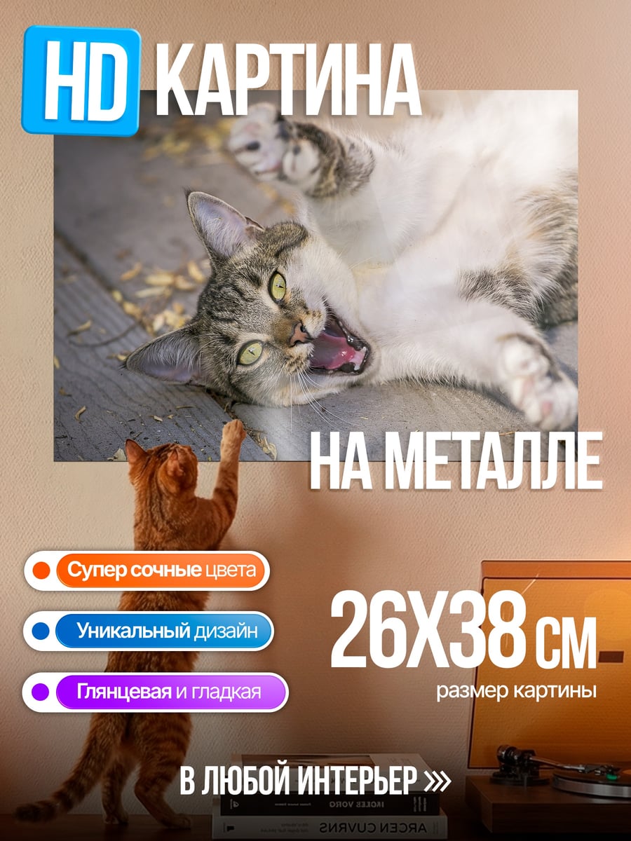 Картина на металле Кот лежит на досках