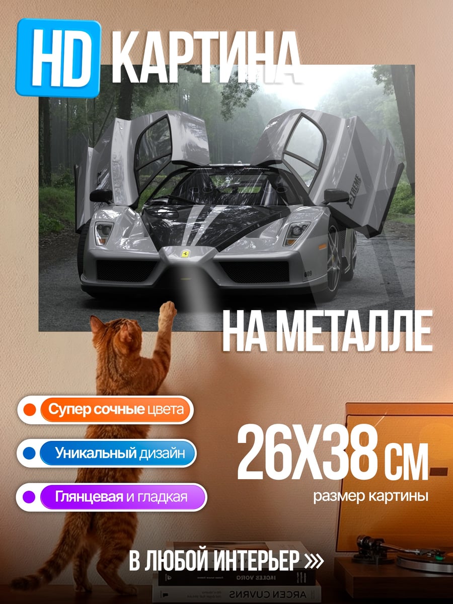 Картина на металле Серебристый суперкар двери