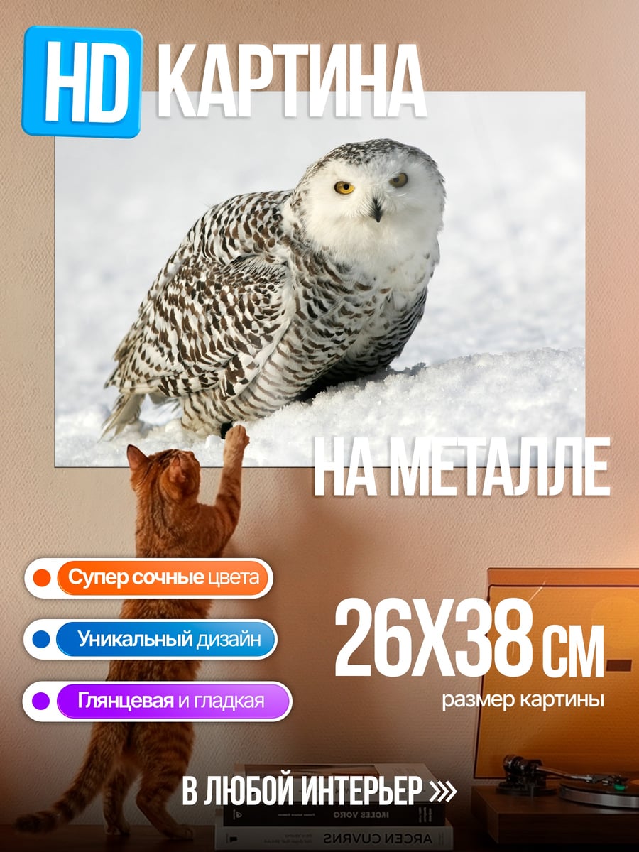 Картина на металле Белая сова