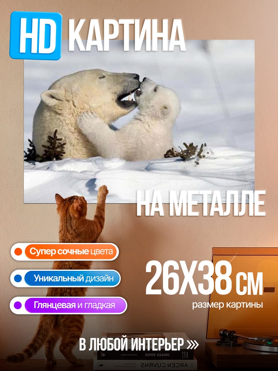 Картина на металле Белые медведи