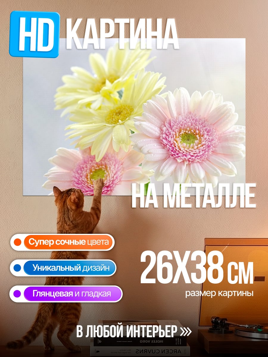 Картина на металле Нежные герберы