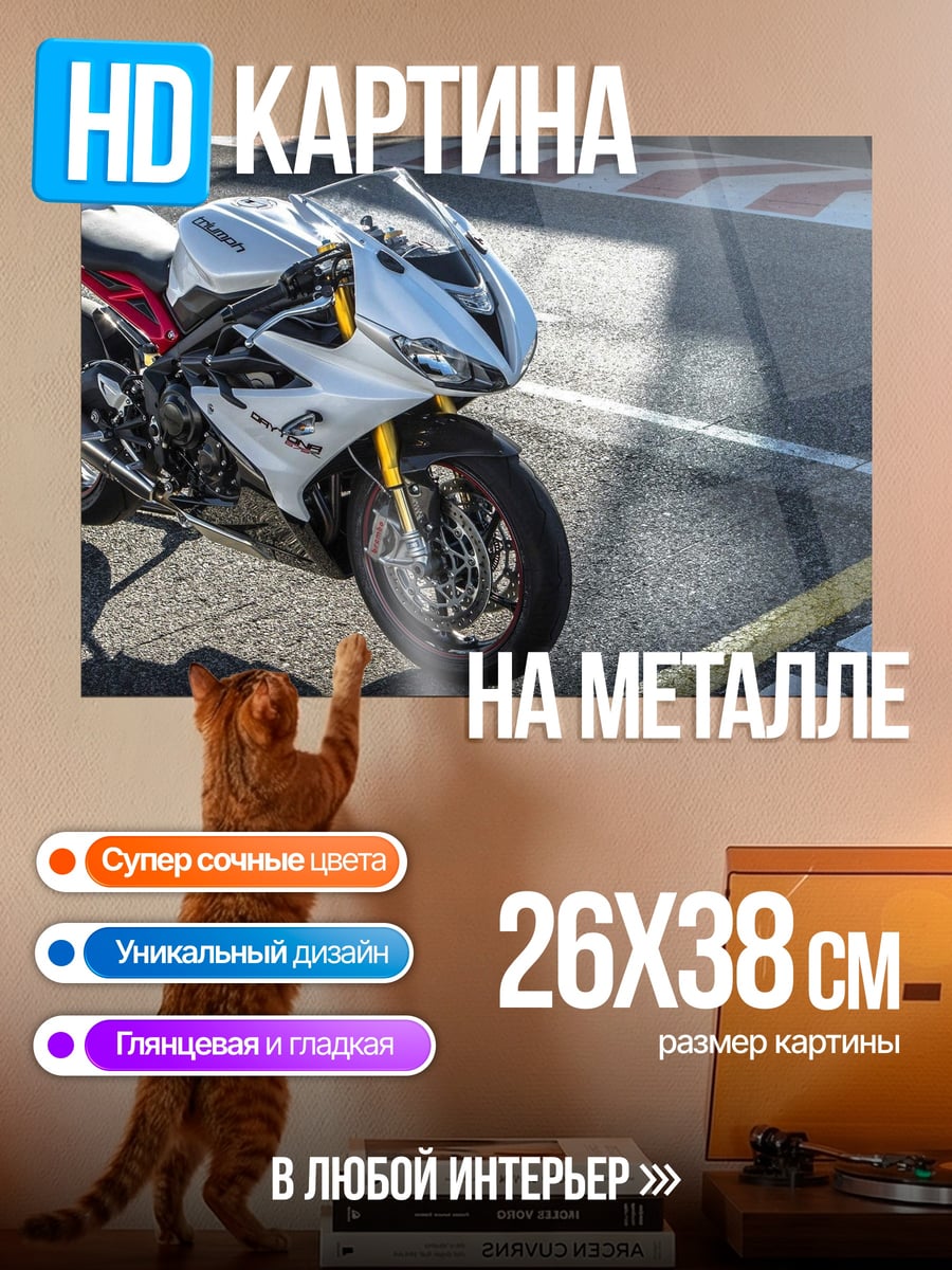 Картина на металле Спортивный мотоцикл на трассе