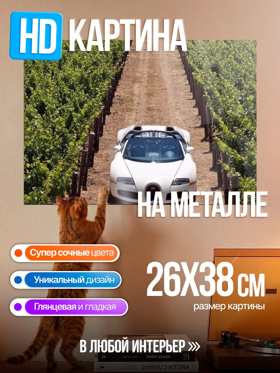 Картина на металле Суперкар в винограднике