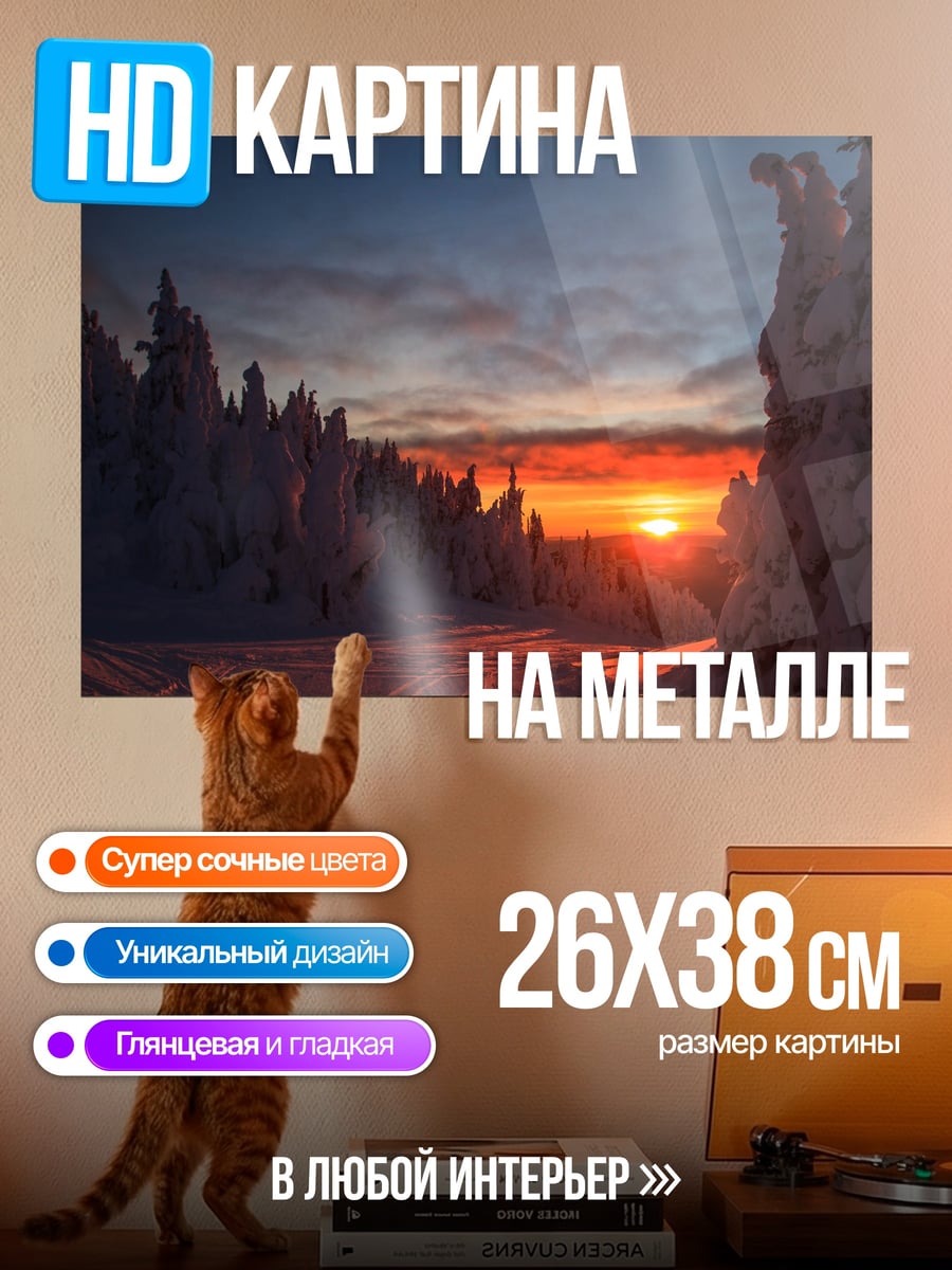Картина на металле Заснеженный лес на закате
