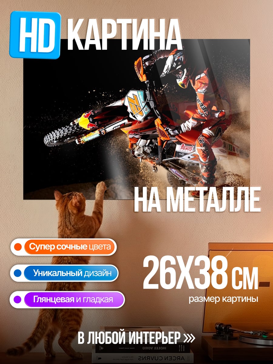 Картина на металле Мотоциклист в прыжке