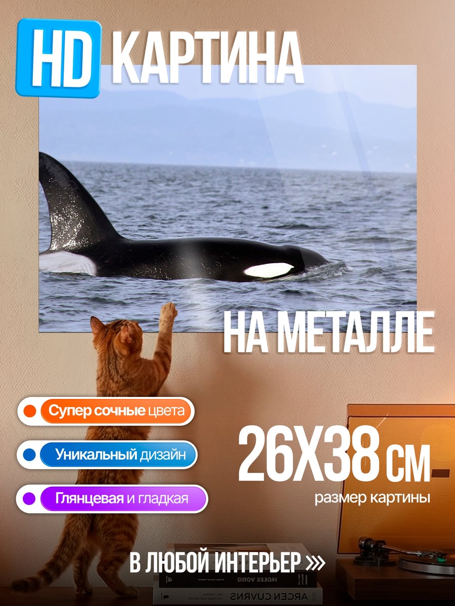 Картина на металле Косатка в океане