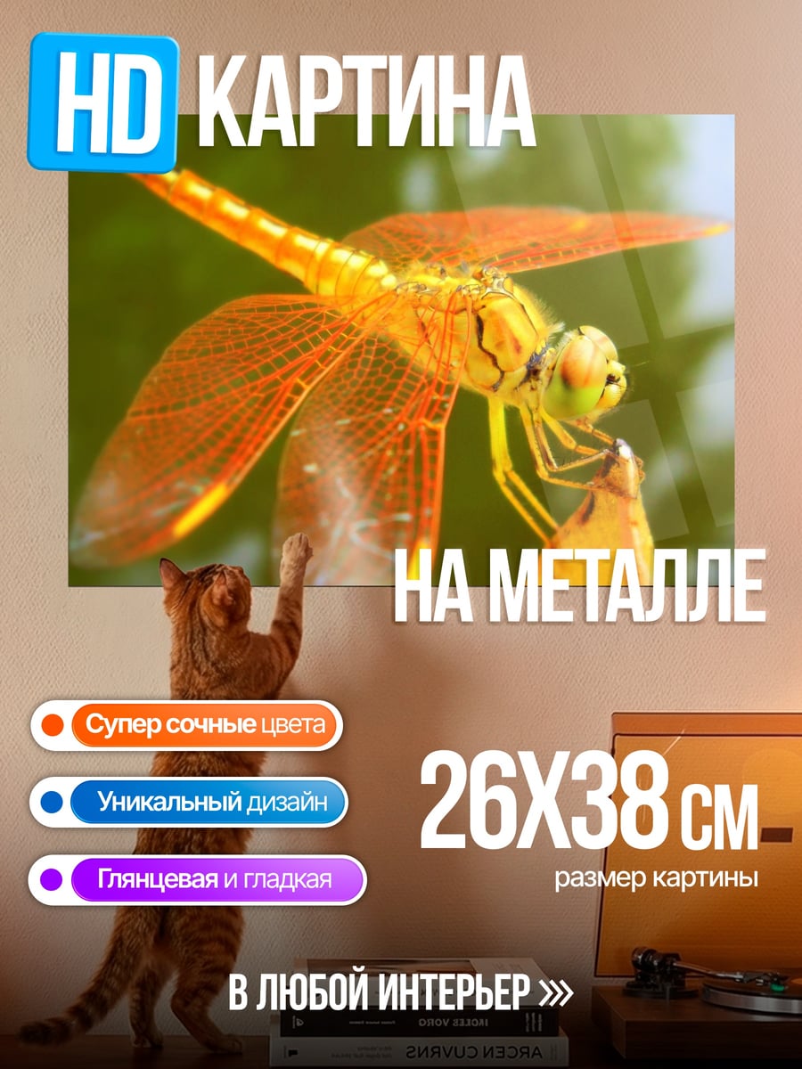 Картина на металле оранжевая стрекоза