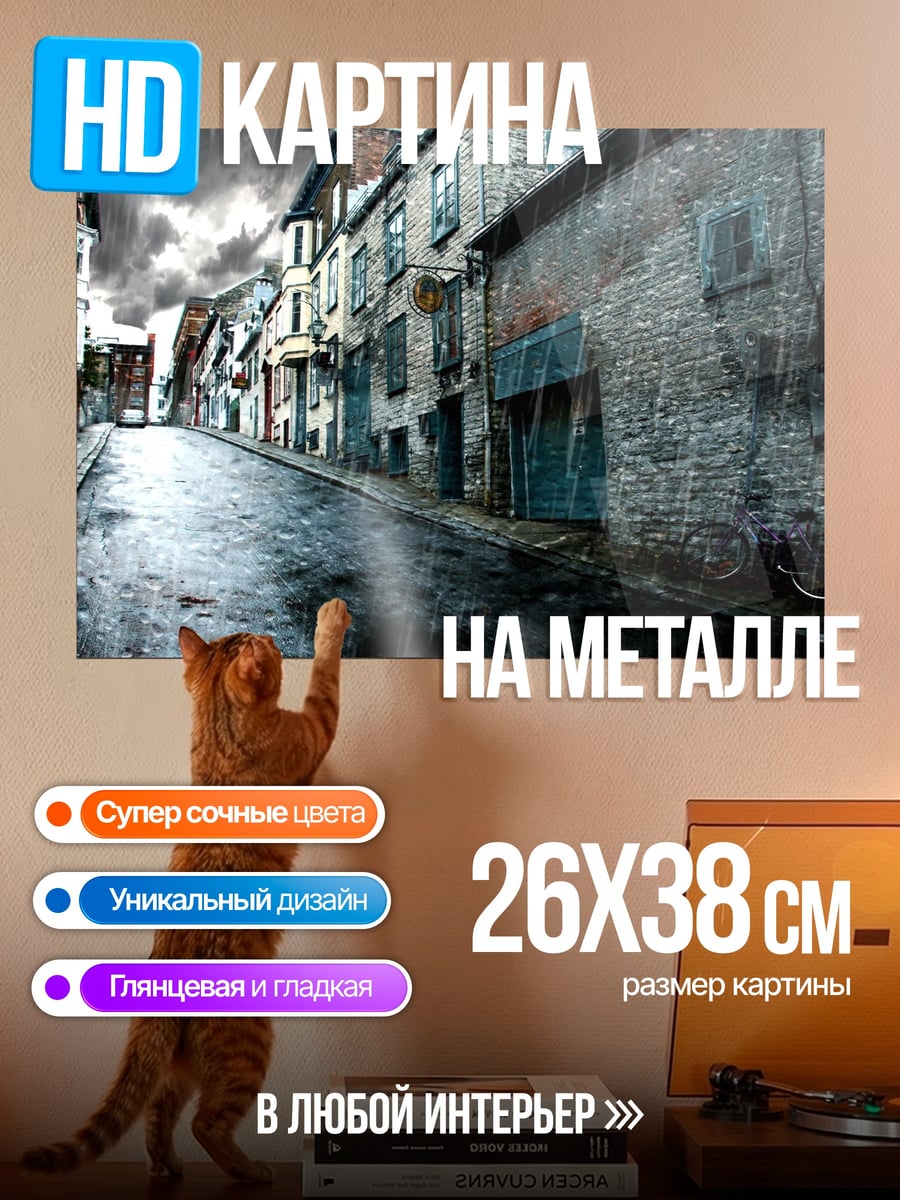 Картина на металле Дождливая улица города