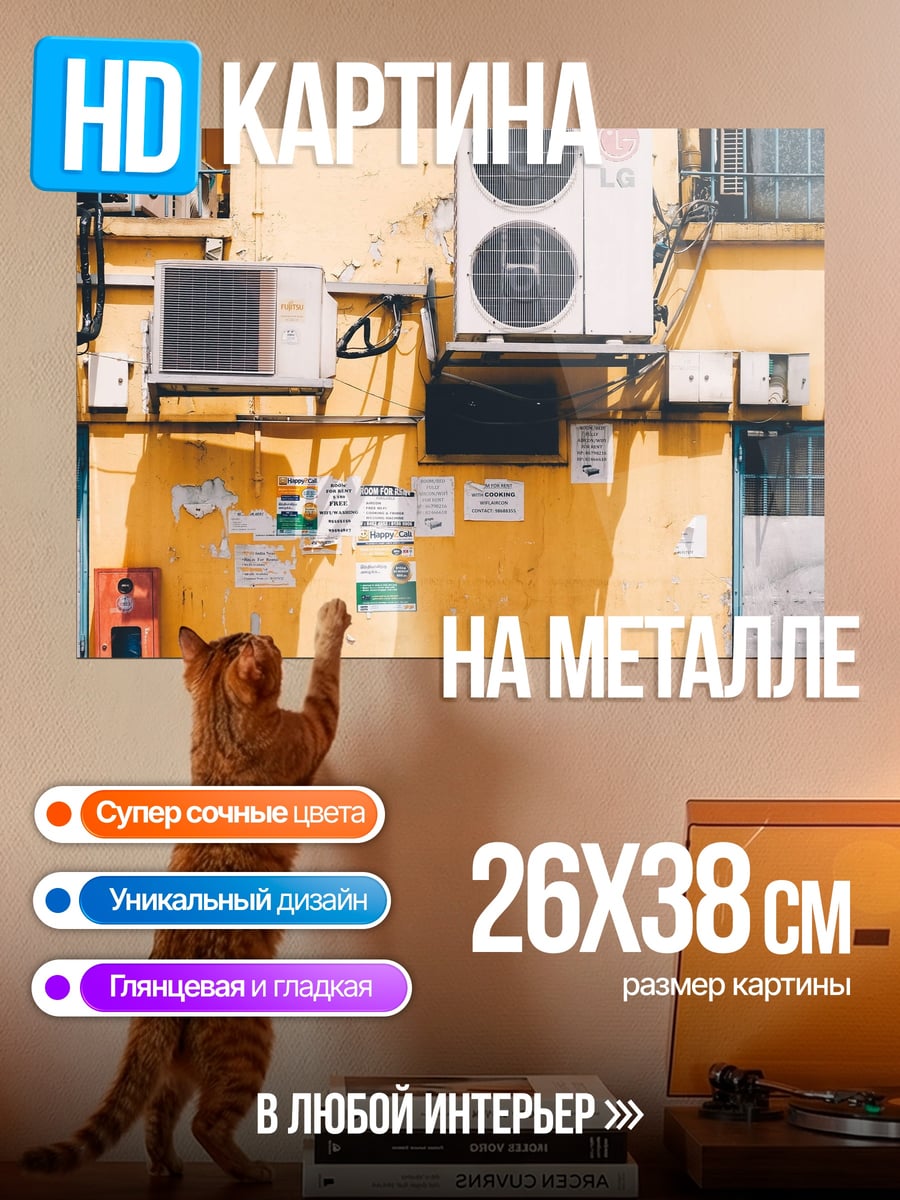 Картина на металле Старый велосипед у стены