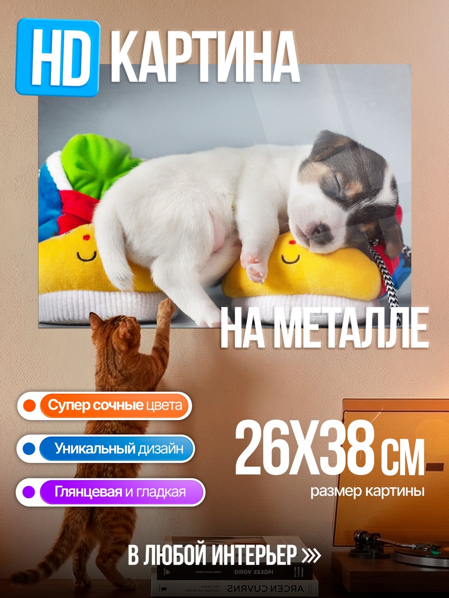 Картина на металле Спящий щенок