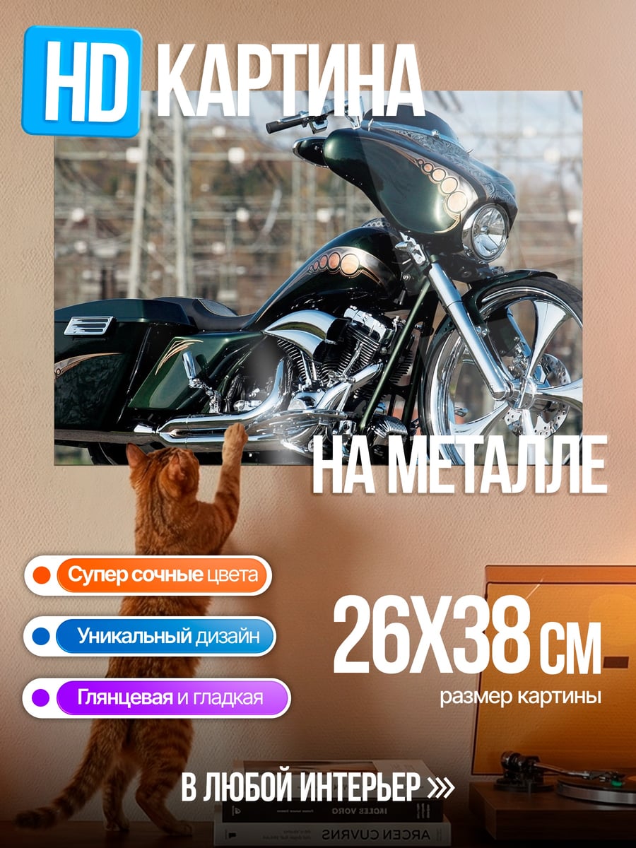 Картина на металле мотоцикл Harley Davidson