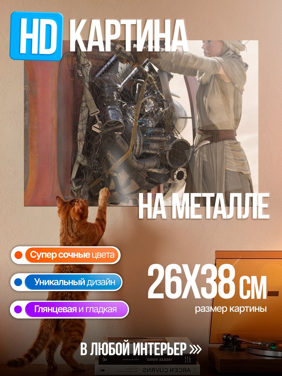 Картина на металле Рей чинит спидер
