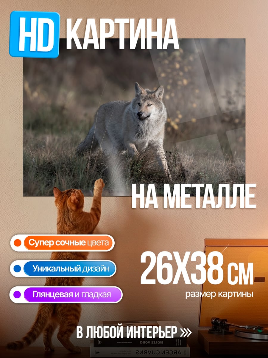 Картина на металле бегущий волк
