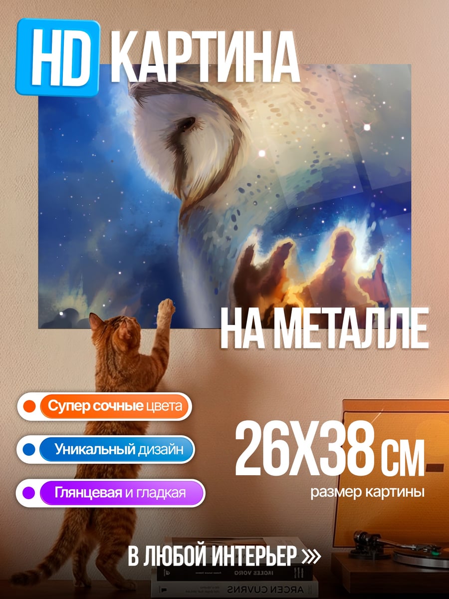 Картина на металле Сова в космосе