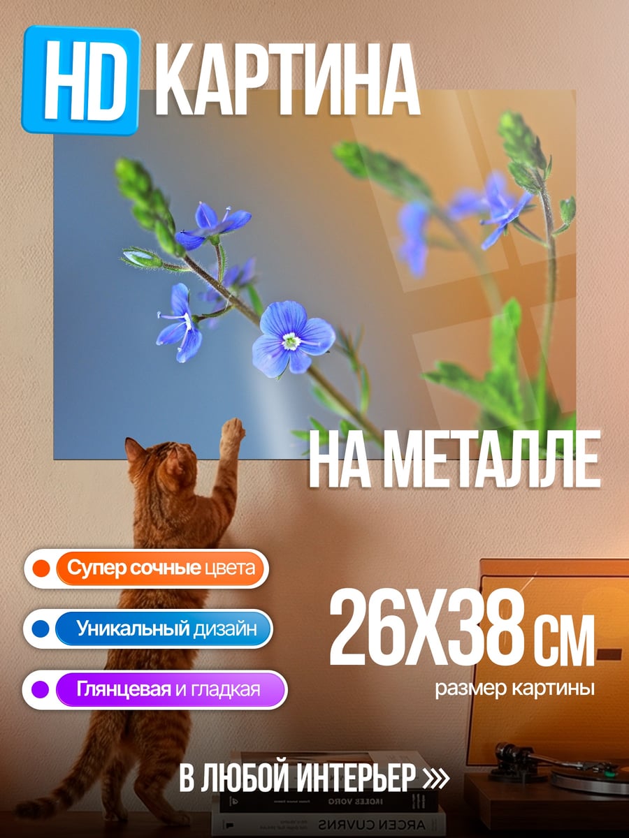 Картина на металле Синие полевые цветы