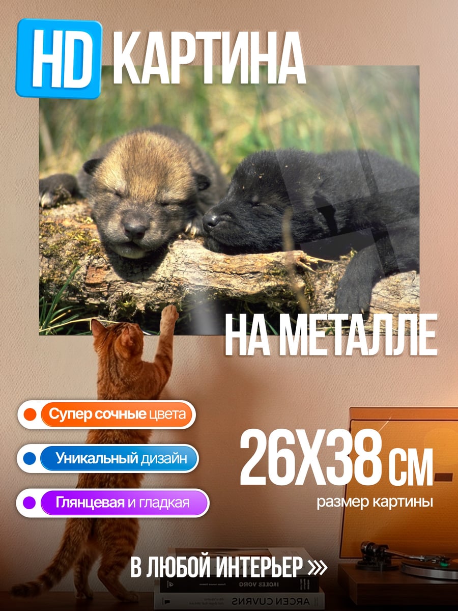 Картина на металле два волчонка