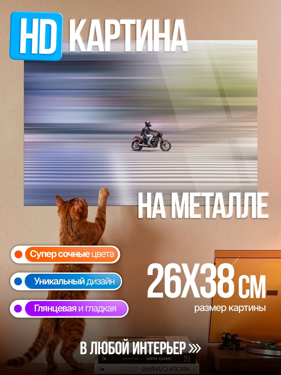 Картина на металле Мотоциклист в движении