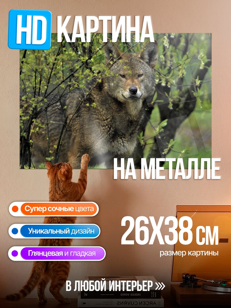 Картина на металле Дикий койот в лесу