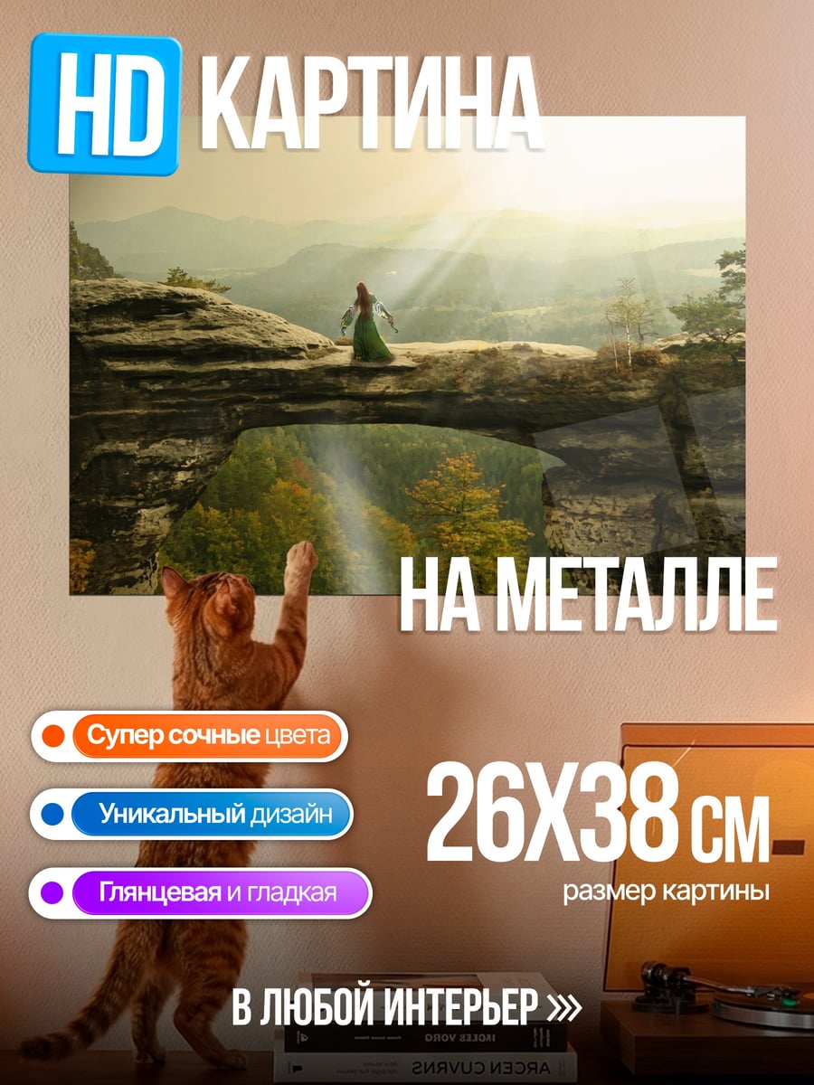 Картина на металле Девушка на скале