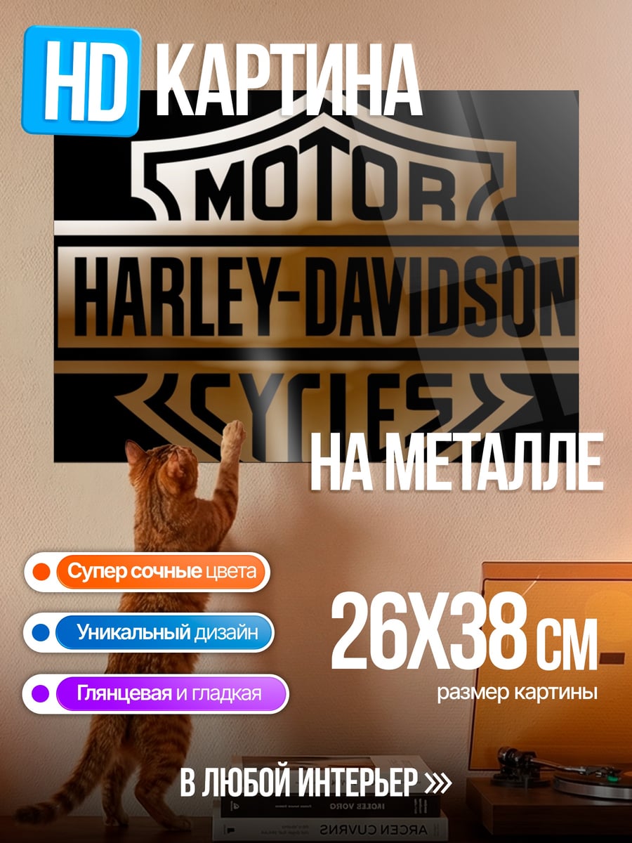 Картина на металле Логотип Harley-Davidson