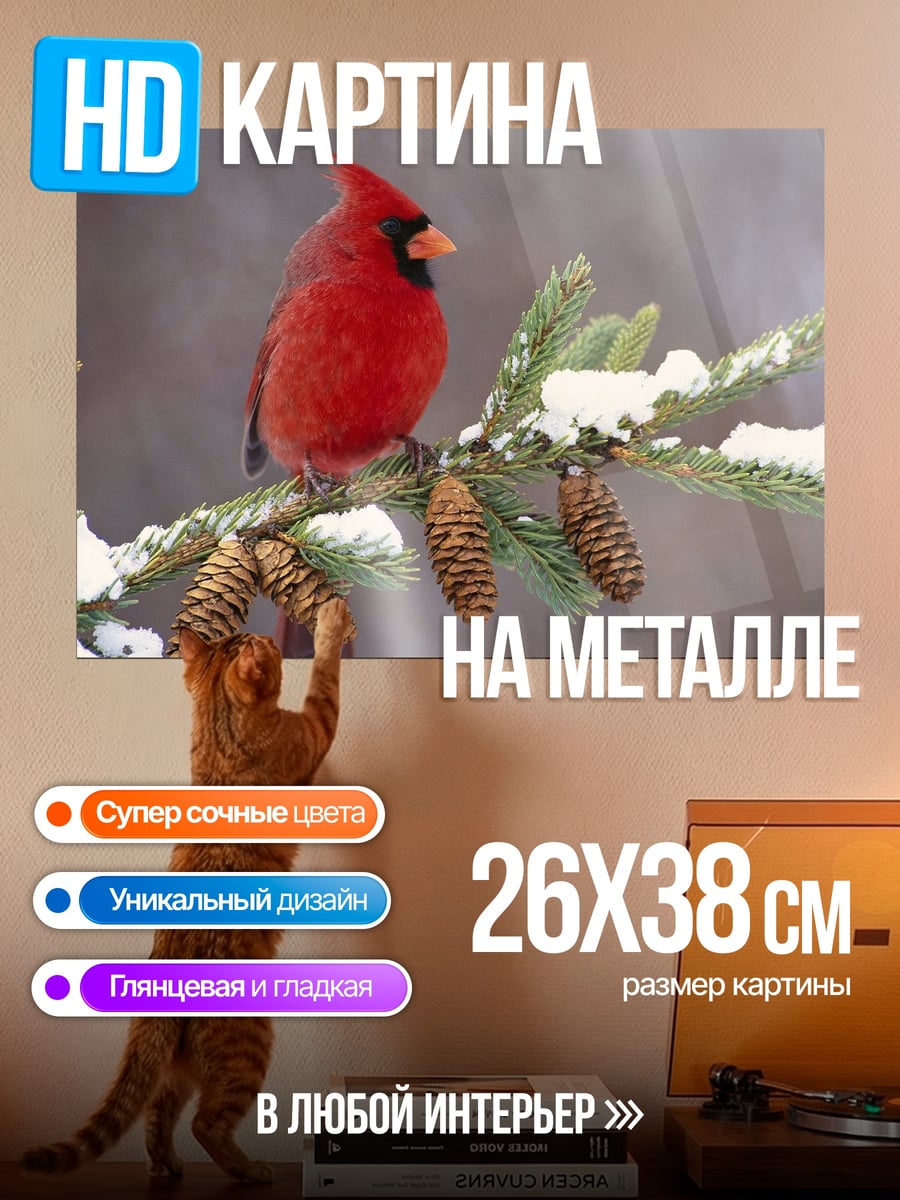 Картина на металле Красный кардинал