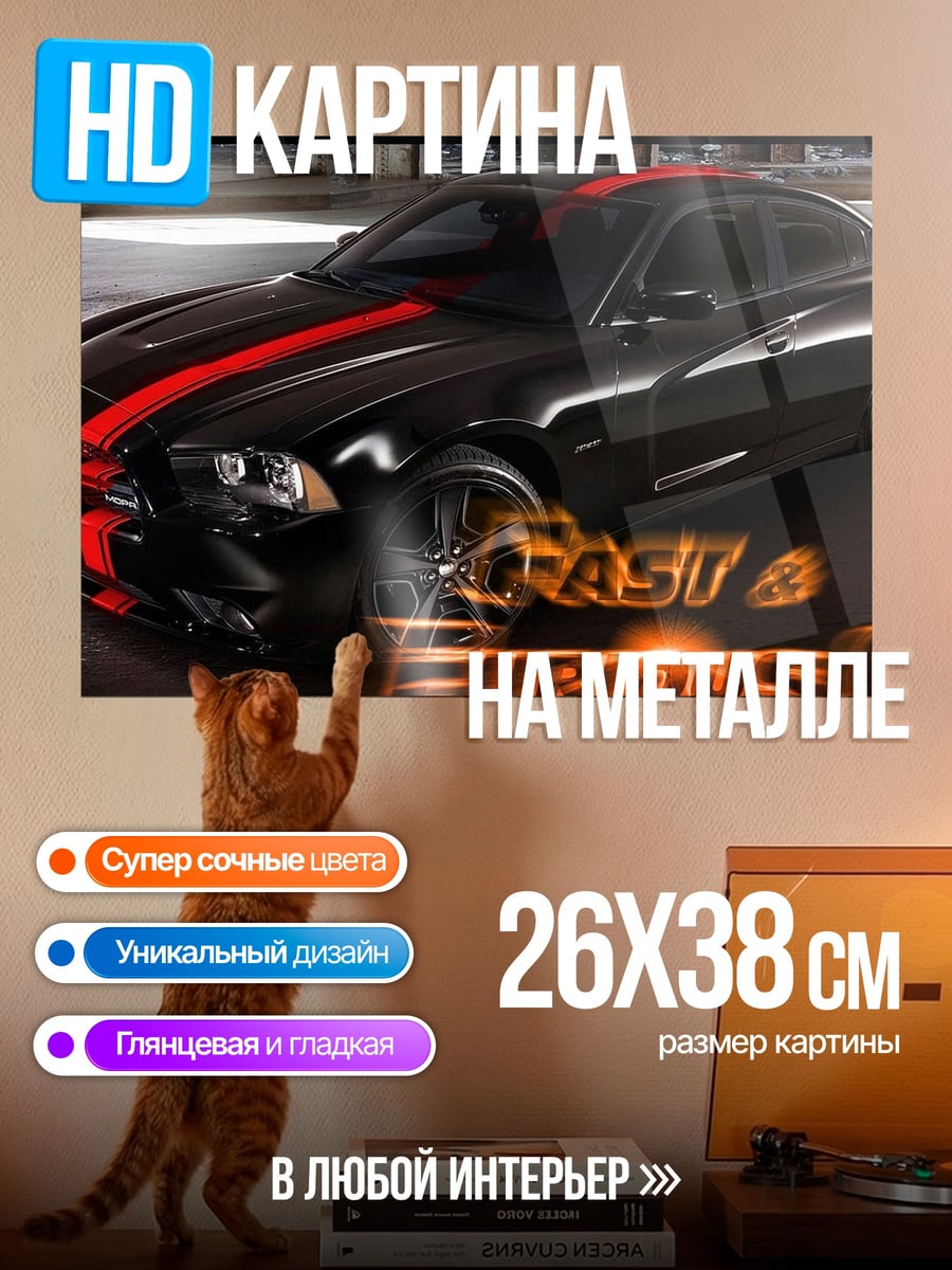Картина на металле Форсаж 6