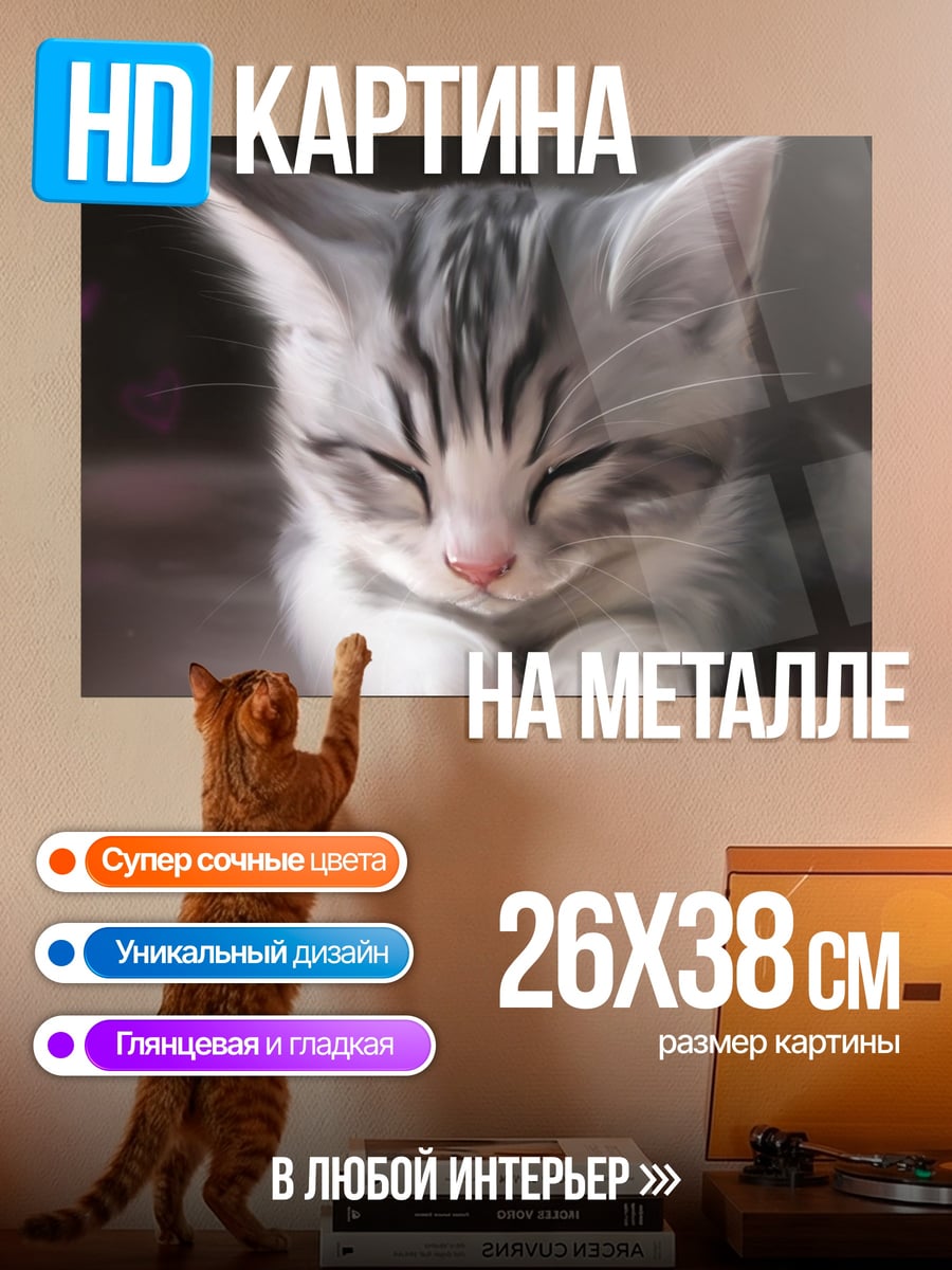 Картина на металле Спящий котенок