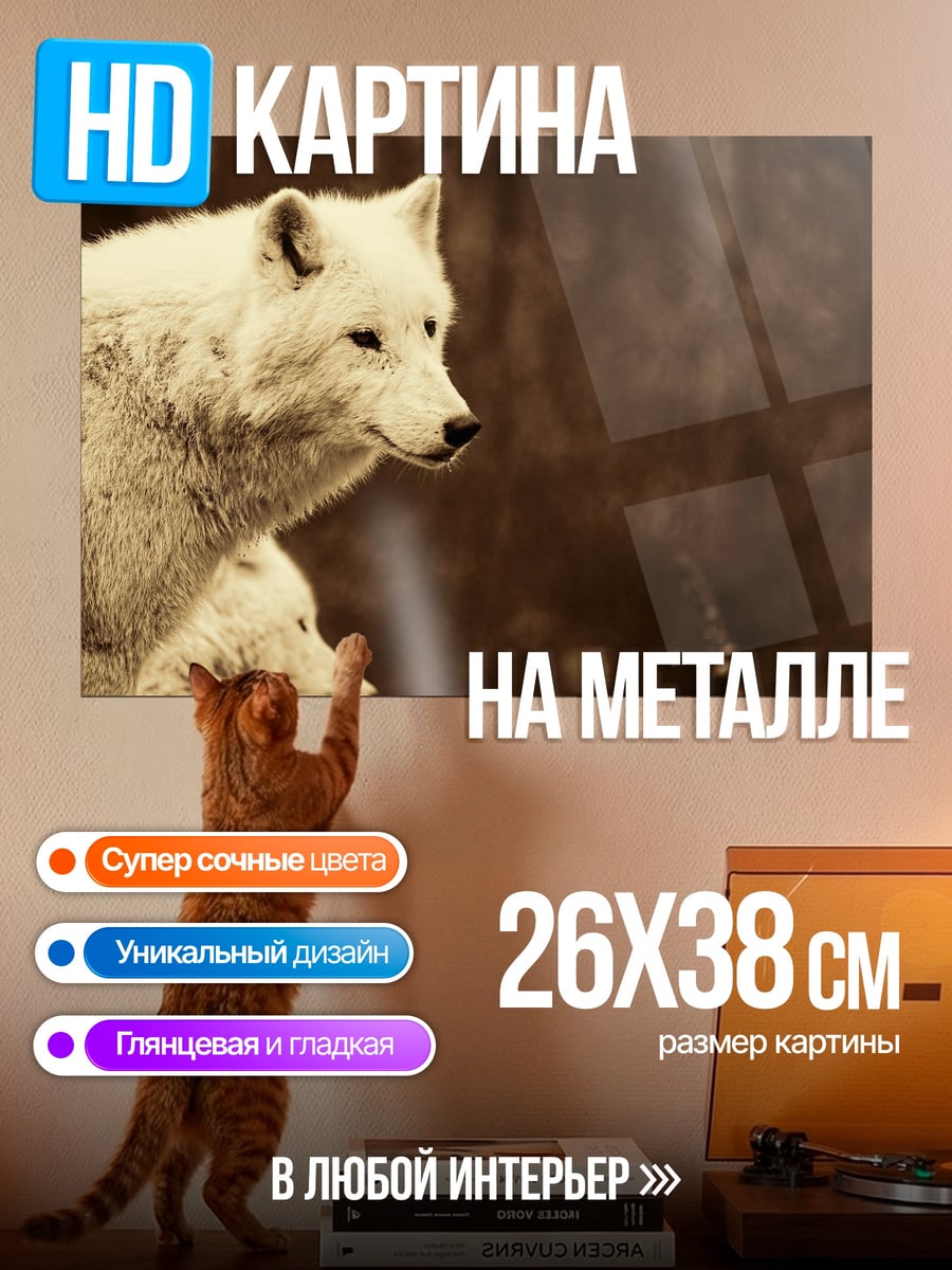 Картина на металле Белые волки рядом