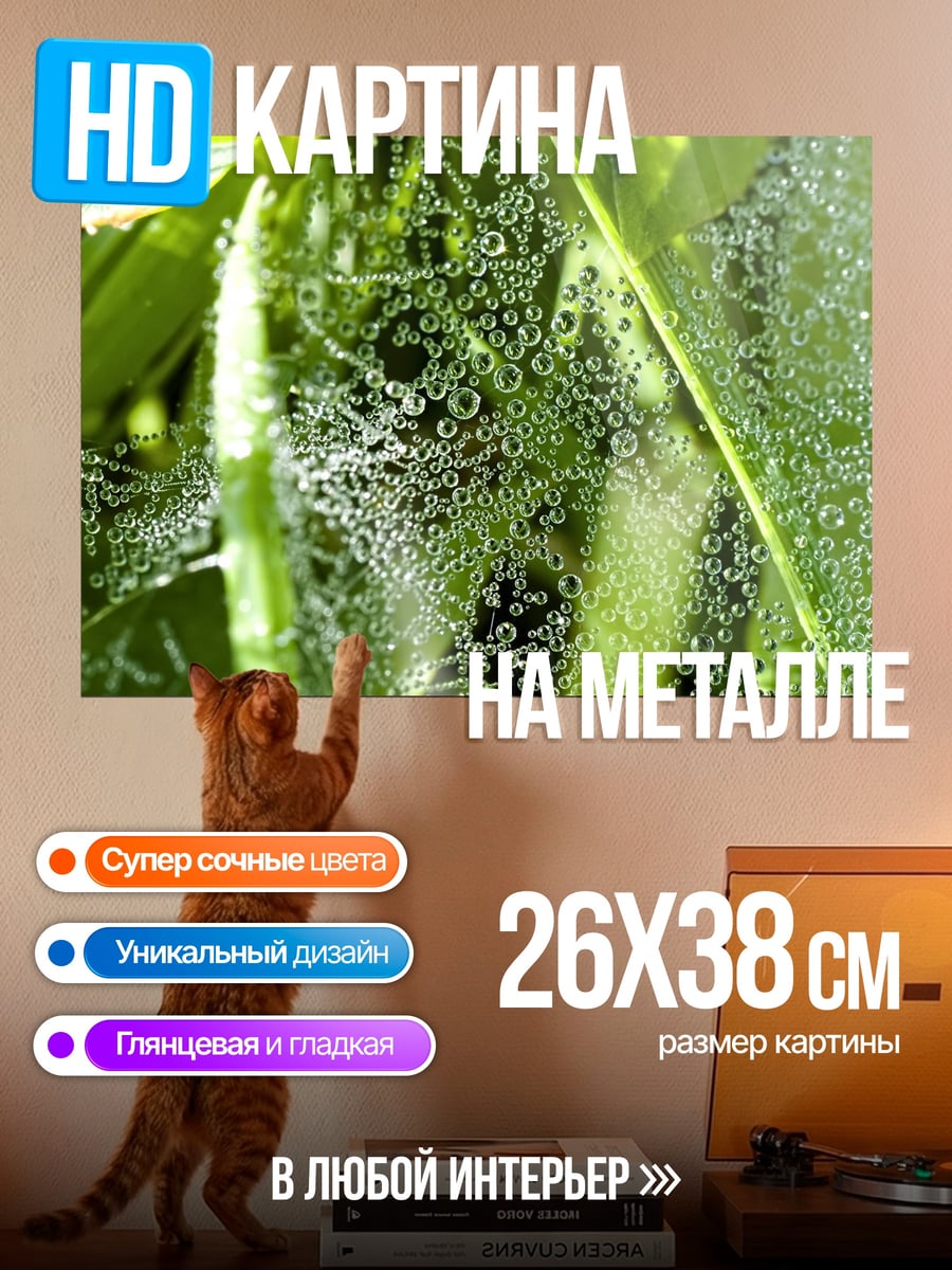 Картина на металле Паутина с росой