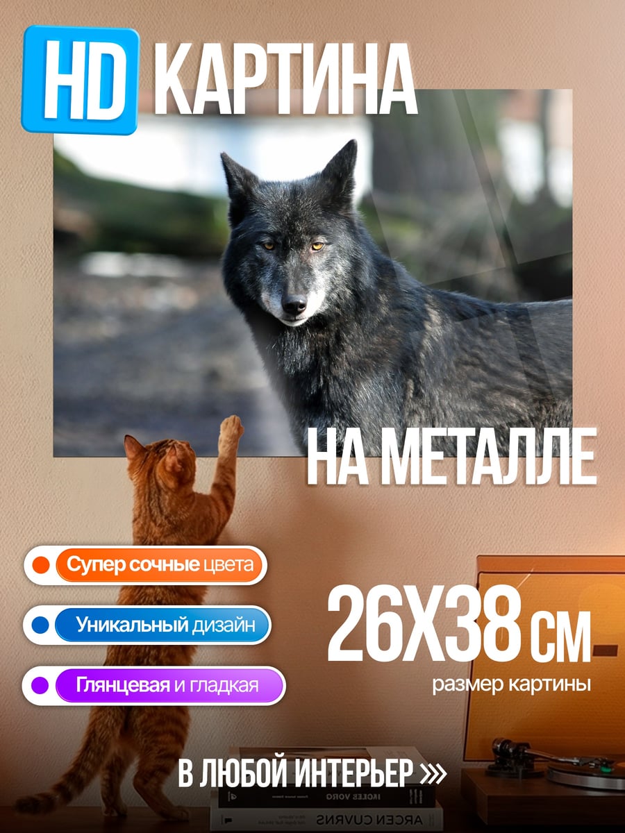 Картина на металле Черный волк