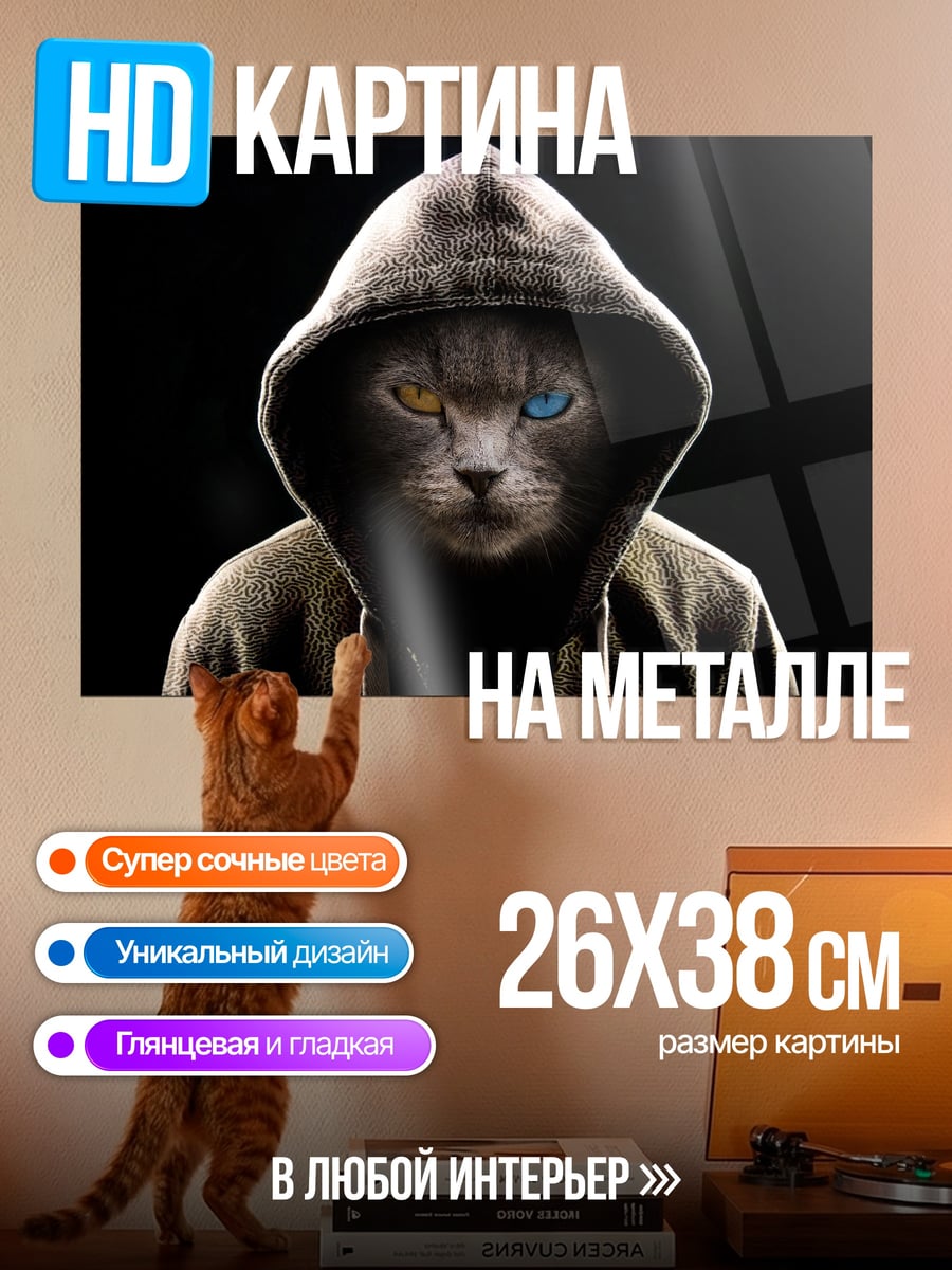 Картина на металле Кот в капюшоне