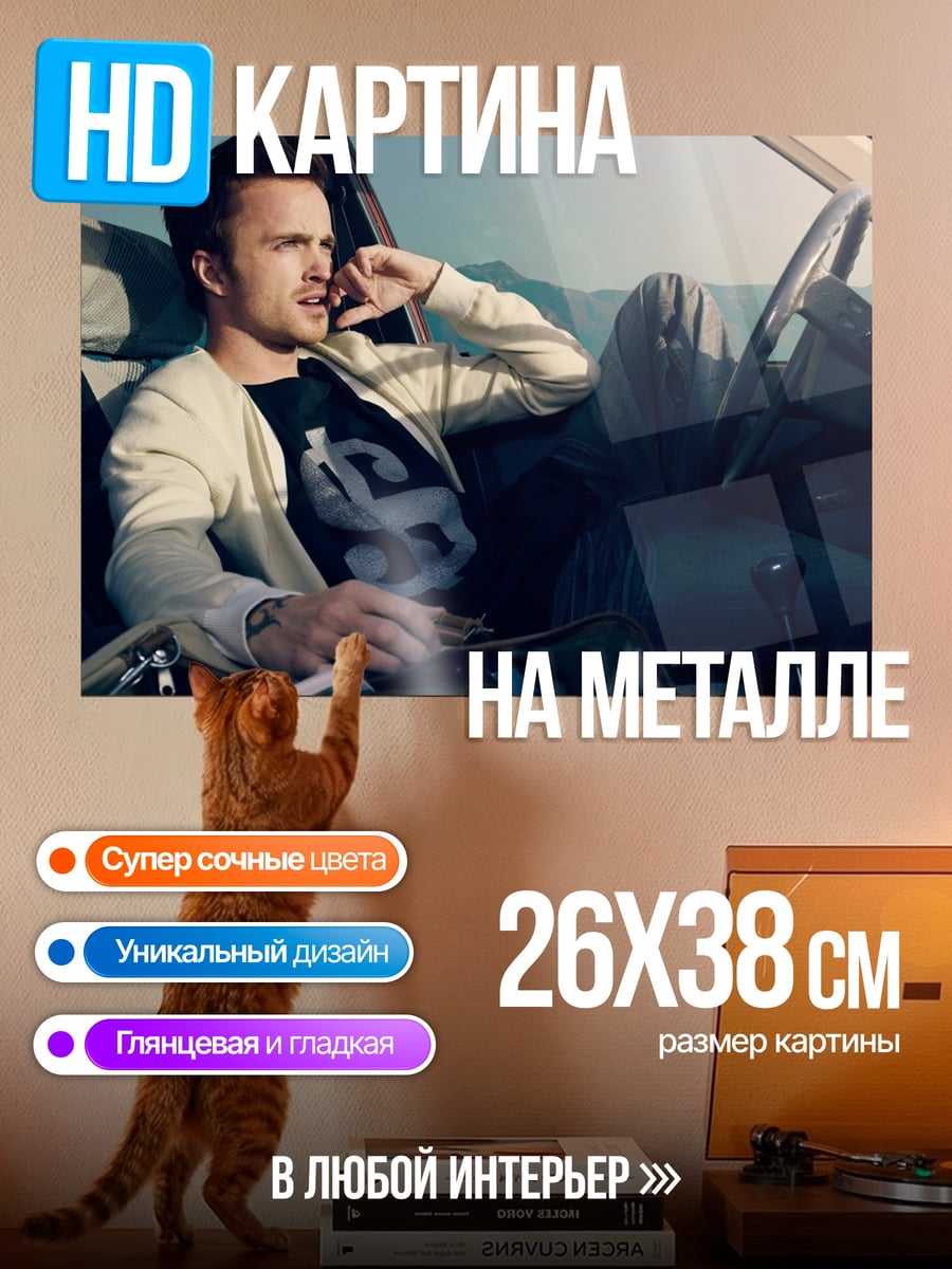 Картина на металле Парень в машине