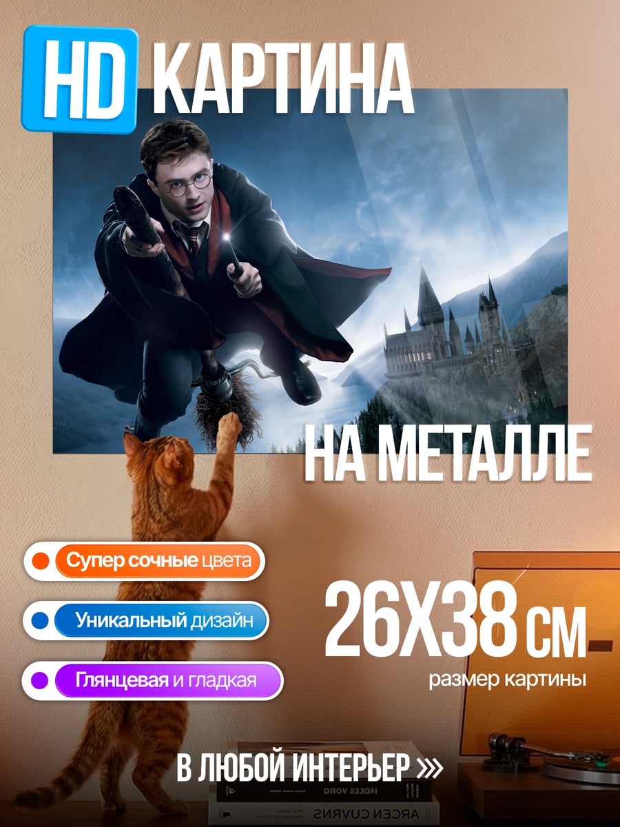 Картина на металле Гарри Поттер на метле