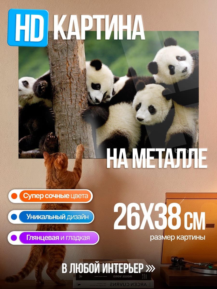 Картина на металле Панды на дереве