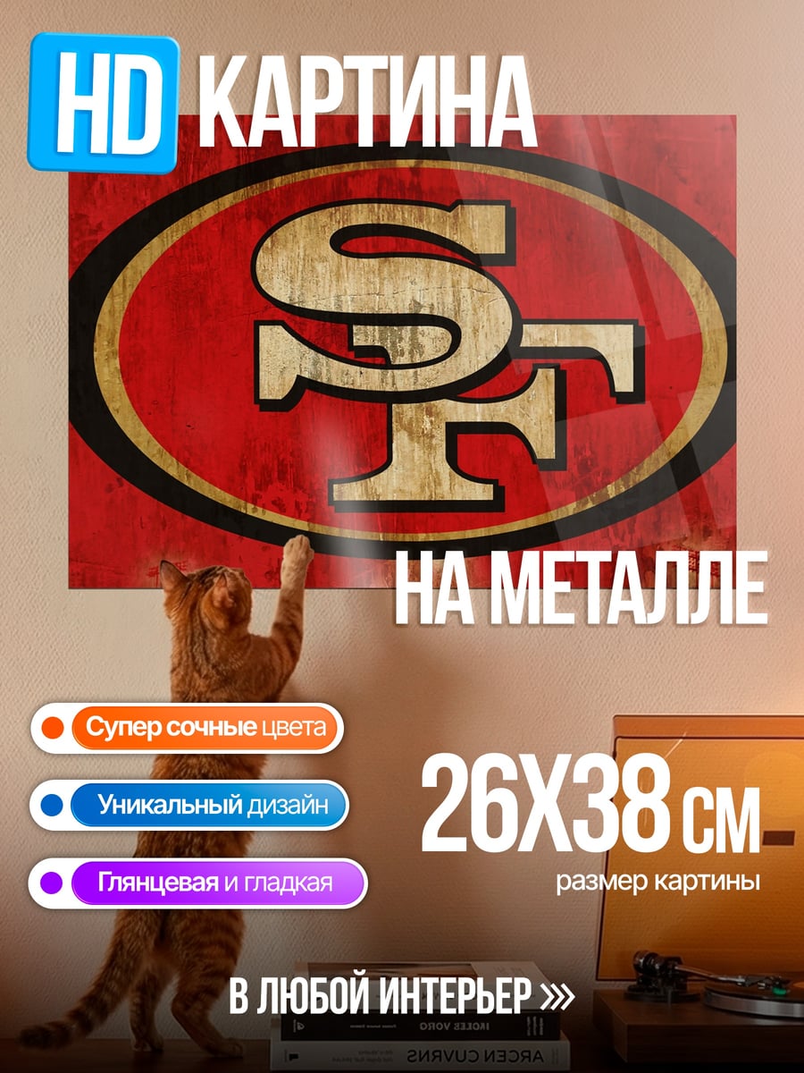 Картина на металле Логотип 49ers