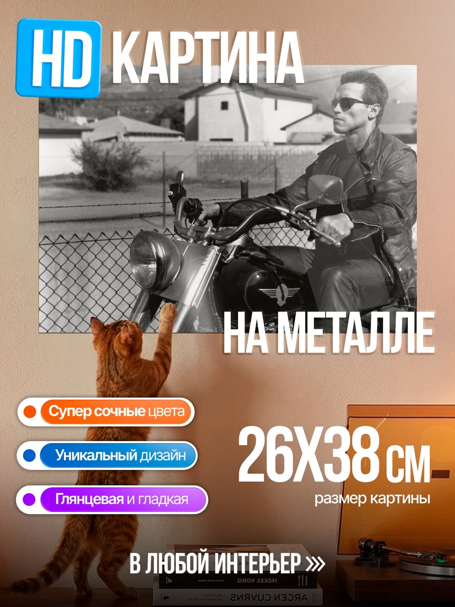 Картина на металле Терминатор на мотоцикле
