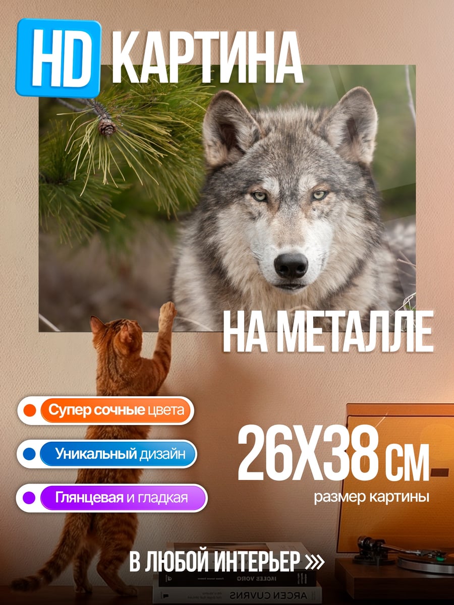 Картина на металле Портрет волка