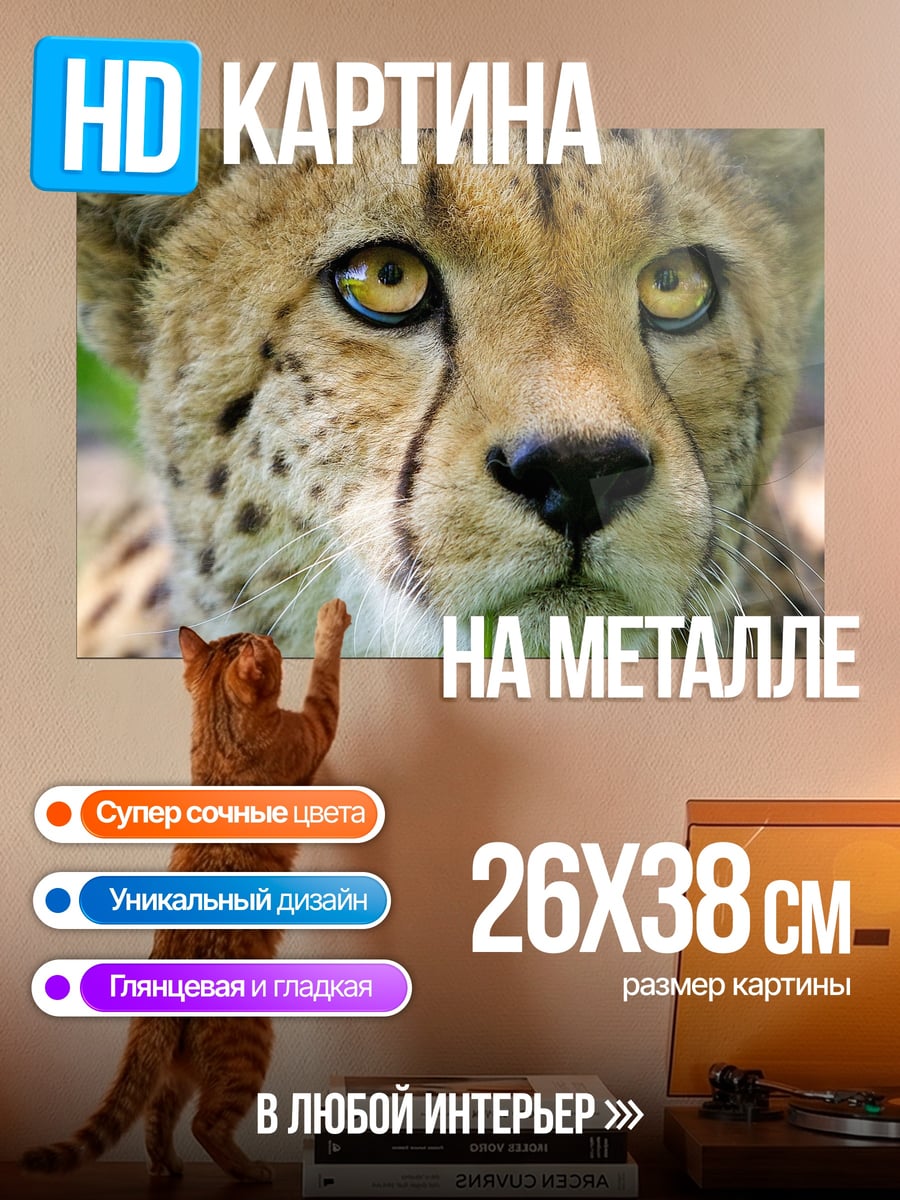 Картина на металле Морда гепарда