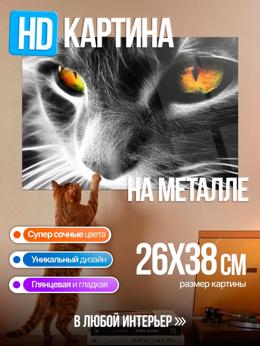 Картина на металле Огненные глаза кота