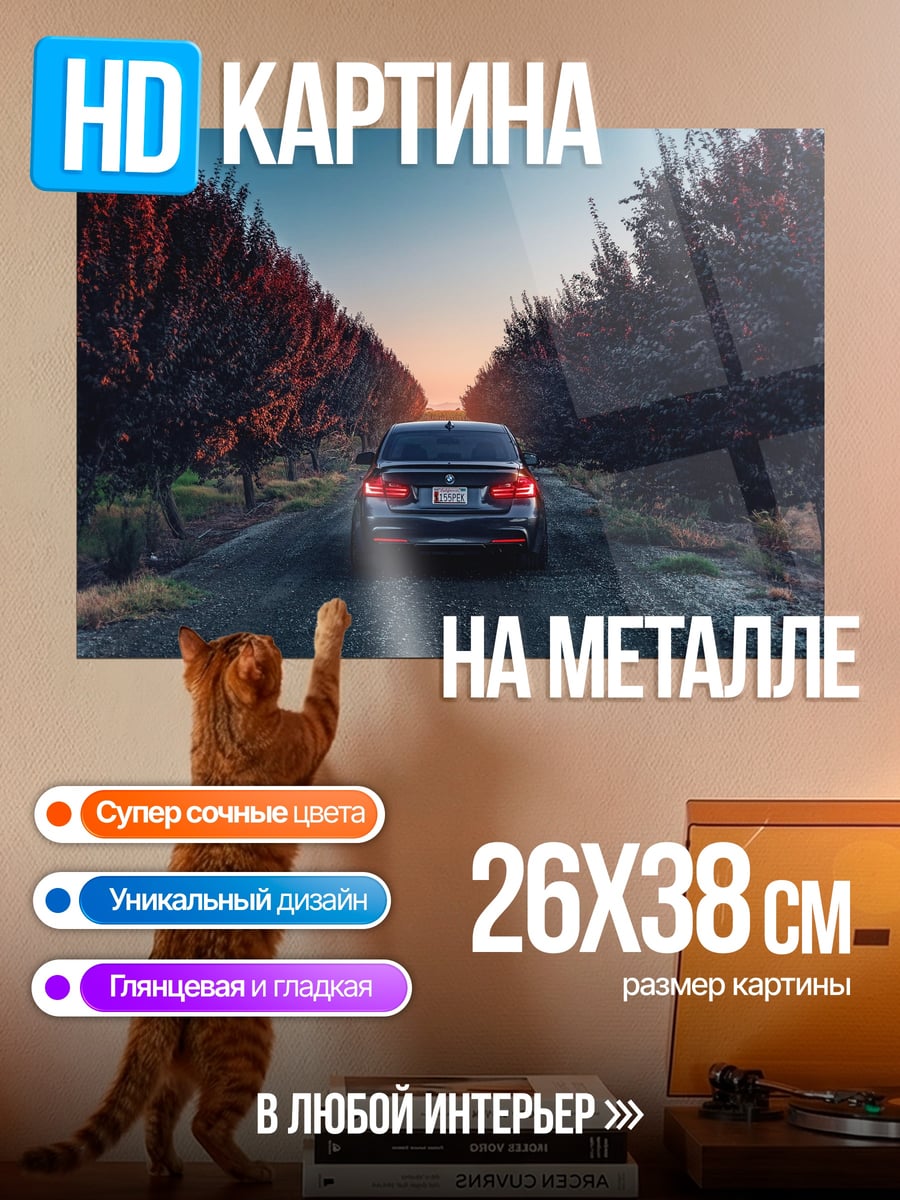 Картина на металле Автомобиль на дороге