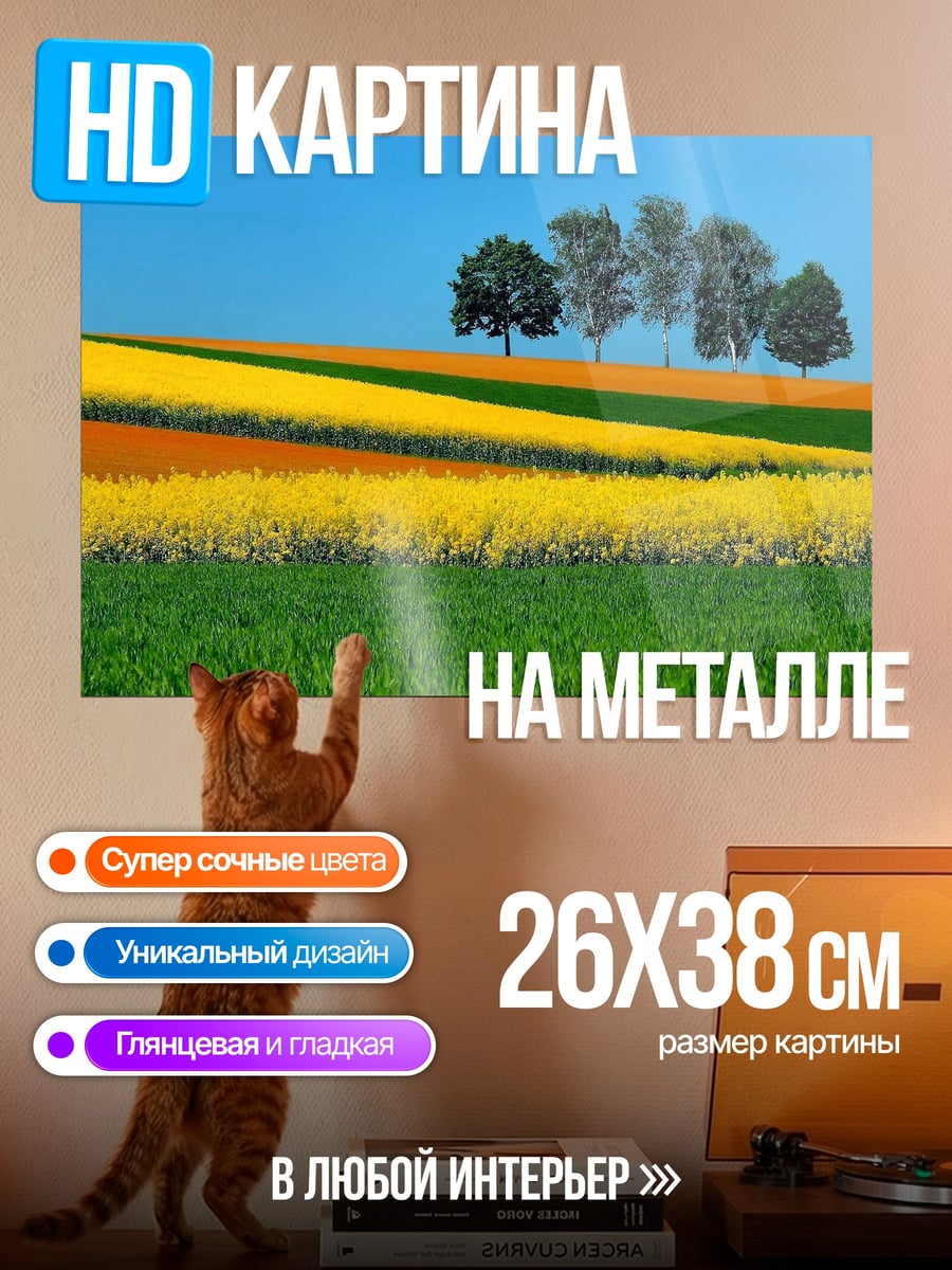 Картина на металле Цветные поля