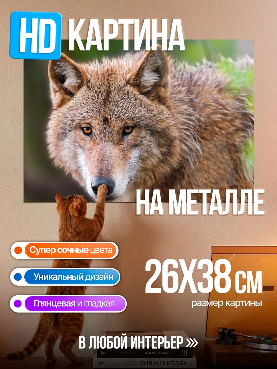 Картина на металле Портрет волка
