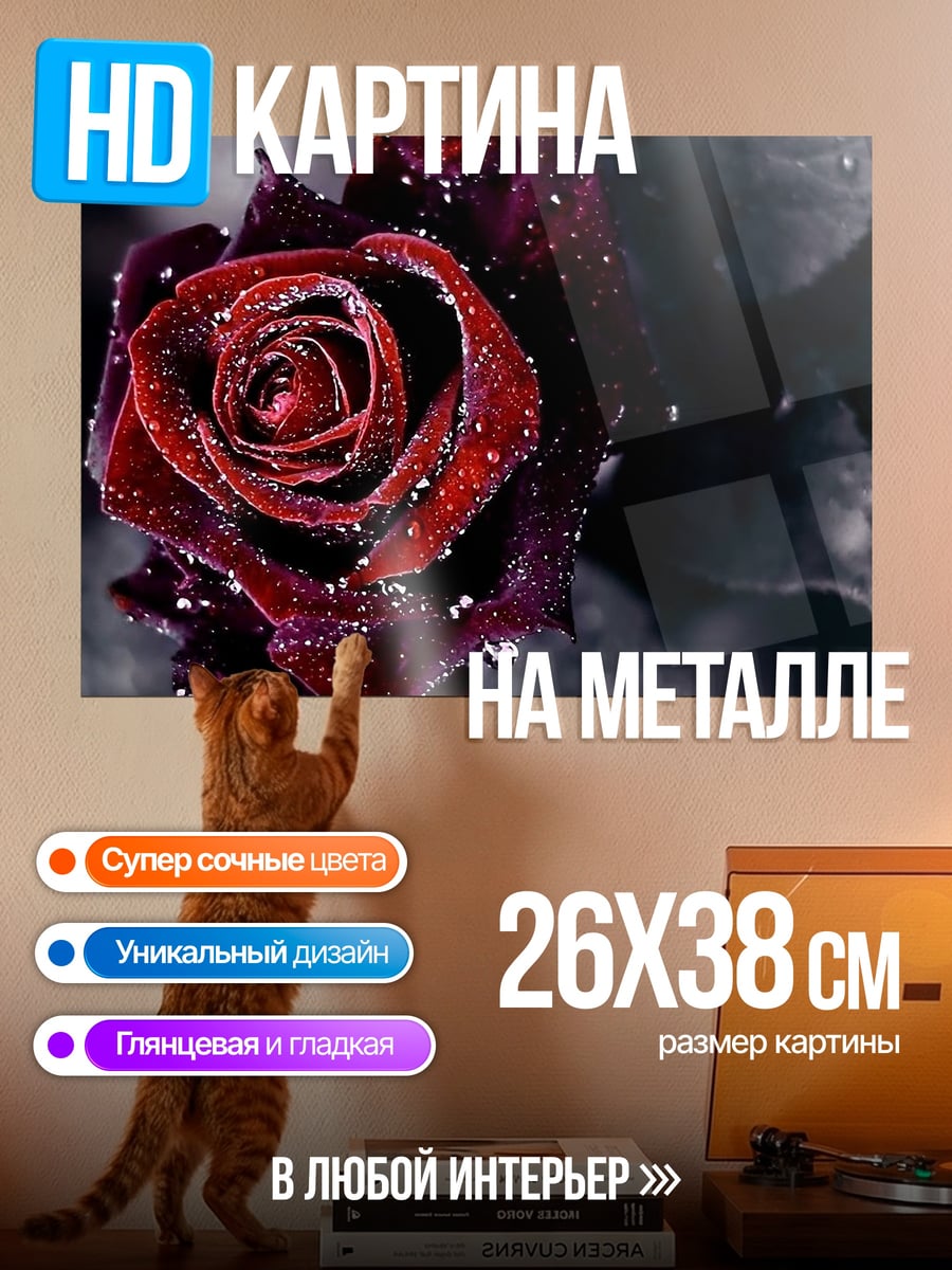 Картина на металле Красная роза