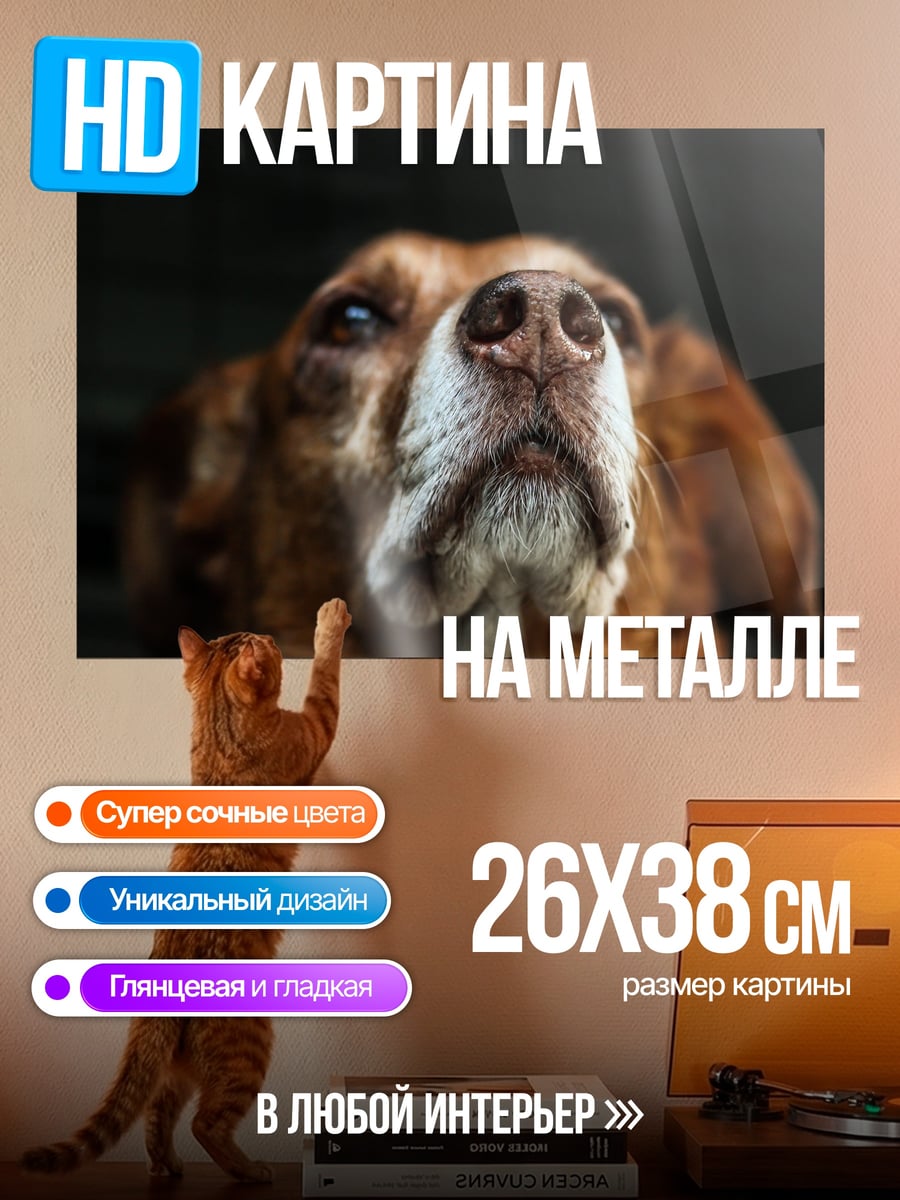 Картина на металле нос собаки