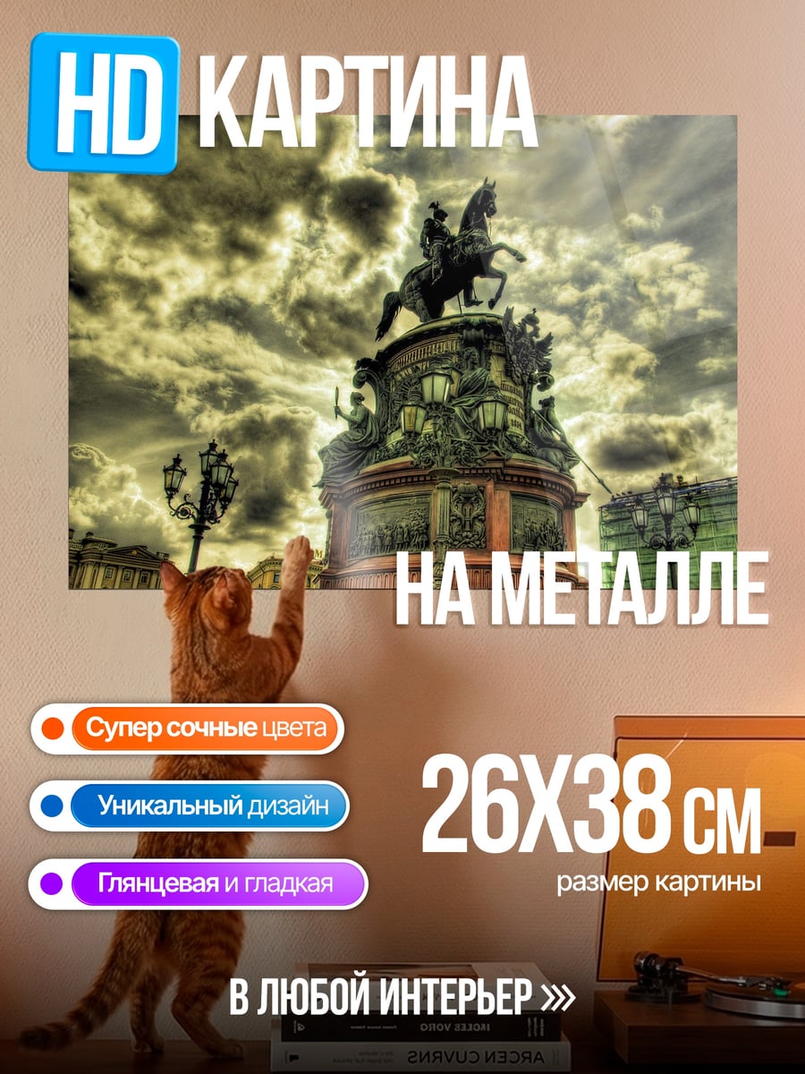 Картина на металле Медный всадник