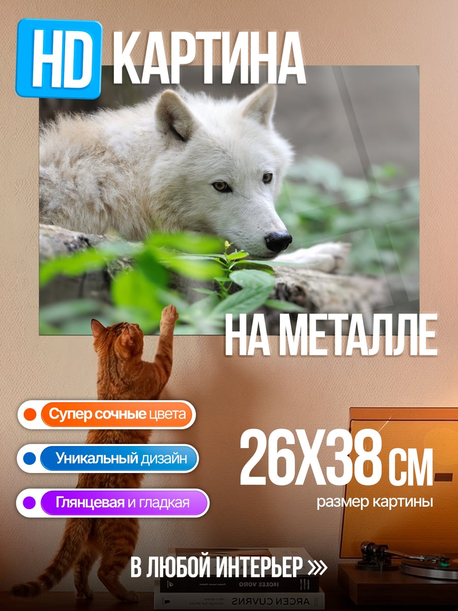 Картина на металле белый волк